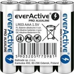 everActive LR03PRO4T tootepilt