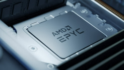 Product image of AMD 100-000000804