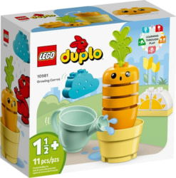 Product image of Lego 10981