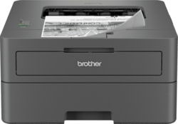 Brother HL-L2402D tootepilt