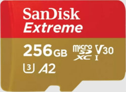 Product image of SanDisk SDSQXAV-256G-GN6MA
