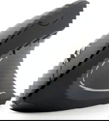 Product image of GEMBIRD MUSW-ERGO-01