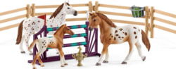 Product image of Schleich 42433