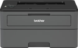 Product image of Brother HLL2370DNG1