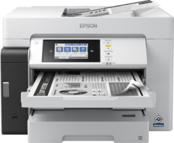 Product image of Epson C11CJ41405