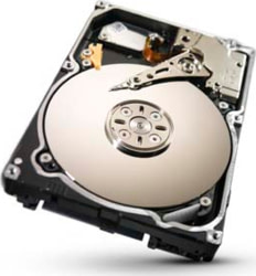 Seagate ST91000640SS-RFB tootepilt
