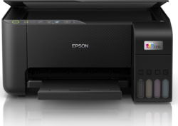 Product image of EPS C11CJ67431