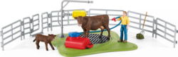 Product image of Schleich 42529