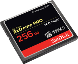 SanDisk SDCFXPS-256G-X46 tootepilt