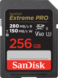 SanDisk SDSDXEP-256G-GN4IN tootepilt