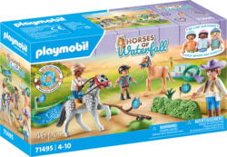 PLAYMOBIL 71495 tootepilt