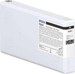 Product image of EPS C13T55W100