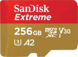 SanDisk SDSQXAV-256G-GN6GN tootepilt