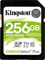 KIN SDS2/256GB tootepilt