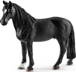 Product image of Schleich 13832