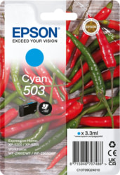 Epson C13T09Q24010 tootepilt