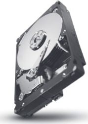 Seagate ST31000424SS-RFB tootepilt