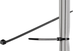 Wentronic tootepilt