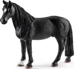 Product image of Schleich 13832