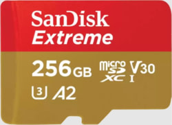 SanDisk SDSQXAV-256G-GN6MA tootepilt