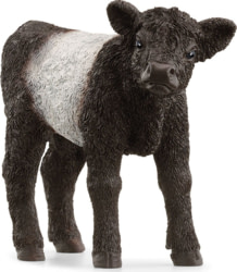 Product image of Schleich 13969
