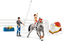 Product image of Schleich 42443