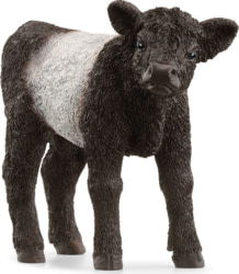 Product image of Schleich 13969