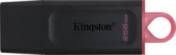 Product image of KIN DTX/256GB