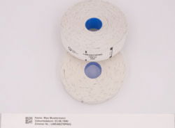 Product image of Brother LWEAB279PWG