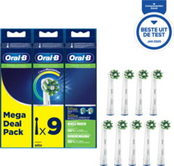 Oral-B 4210201325345 tootepilt