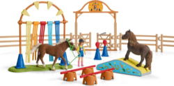 Product image of Schleich 42481