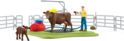 Product image of Schleich 42529