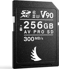 Product image of Angelbird Technologies AVP256SDMK2V90