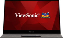 Product image of VIEWSONIC TD1655