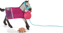 Product image of Schleich 42534