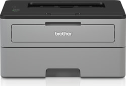 Product image of Brother HLL2310DG1