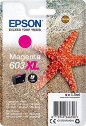 Epson C13T03A34010 tootepilt