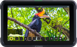 Product image of Atomos ATOMSHBH01