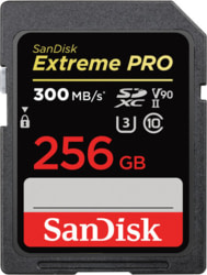 SanDisk SDSDXDK-256G-GN4IN tootepilt