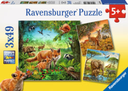 Product image of Ravensburger 093304V