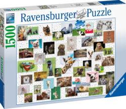 Ravensburger 167111V tootepilt