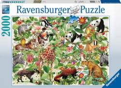 Product image of Ravensburger 168248V