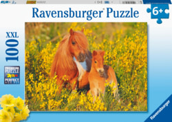 Product image of Ravensburger 132836V