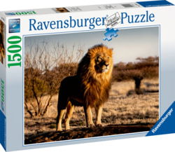 Ravensburger 171071V tootepilt