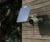 Reolink GO Series G330 camouflage tootepilt 11