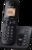 Panasonic KX-TGC220FXB tootepilt 1