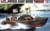 Product image of Tamiya 35150 1