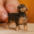 Product image of Schleich 2