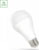 Product image of Spectrum LED WOJ14489 1