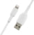 BELKIN CAA001bt0MWH tootepilt 4